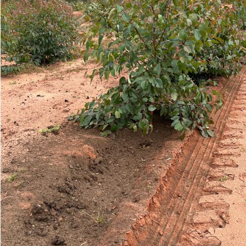 distribuição direcionada de compostos orgânicos