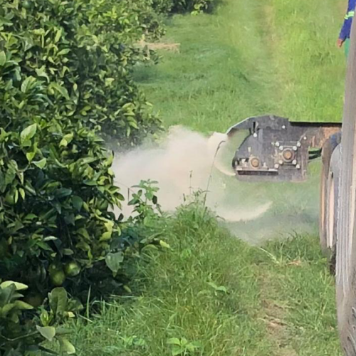 DISTRIBUIÇÃO EM FAIXA